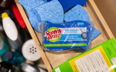 Stock Up On Scotch-Brite Sponges For As Little As 19¢ Per Sponge At Publix