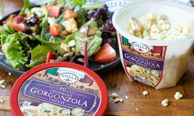 Big Discount On Stella Cheese At Publix – Containers As Low As $1.99
