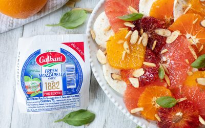 Get Galbani 1882 Fresh Mozzarella Cheese For Just $1.65 At Publix (Regular Price $5.29)