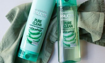 Garnier Fructis or Whole Blends Hair Care Just $2 At Publix – ENDS TODAY