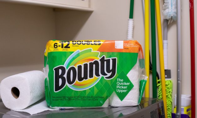 Bounty Paper Towels Are As Low As $8.79 At Publix (Regular Price $17.32!)