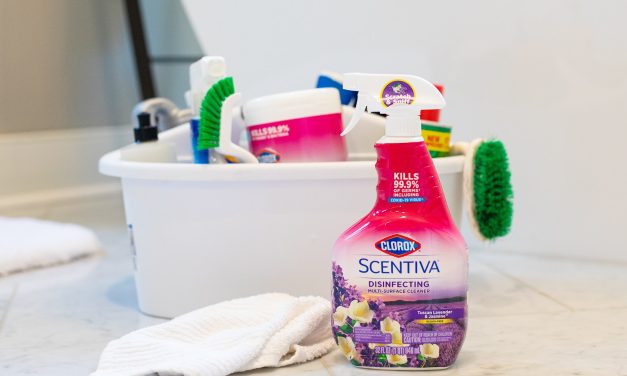 Get Clorox Spray Cleaners As Low As $3.50 At Publix