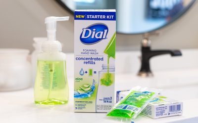 Dial Foaming Hand Wash Concentrated Refills Just $2.59 At Publix – Plus Cheap Starter Kits