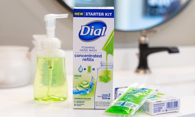 Dial Foaming Hand Wash Concentrated Refills Just $2.59 At Publix – Plus Cheap Starter Kits