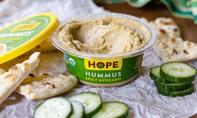 Grab Delicious HOPE Hummus For All Your Recipe & Snack Needs – Back In The Deli At Publix!