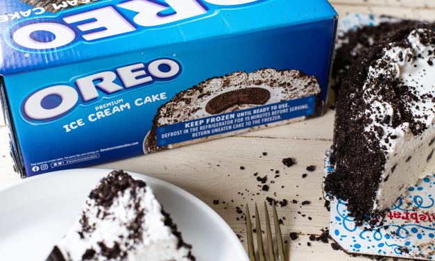 Oreo Ice Cream Cake Just $13.99 At Publix – Save $7