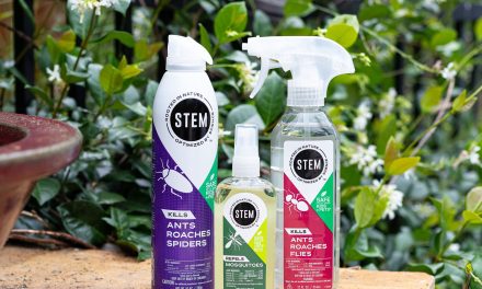 STEM Products Are BOGO With Coupon At Publix – Protect Your Home From Pests & Save BIG!