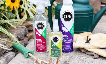 STEM® Insect Killers & Repellents Are Safe To Use Around Kids & Pets When Used As Directed – Stock Up NOW At Publix
