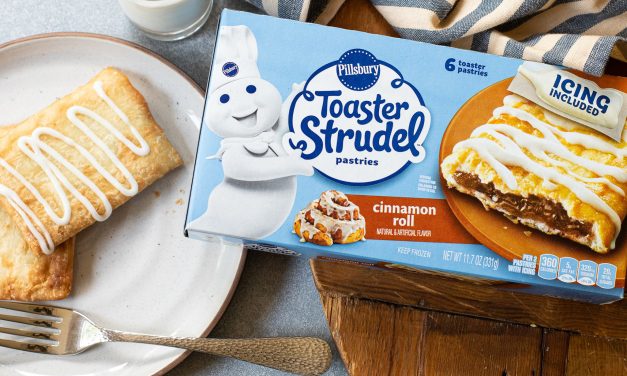 Pillsbury Toaster Strudel Pastries As Low As $1.23 Per Box At Publix