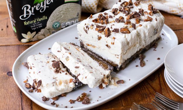 Serve Up A Cool Treat For Labor Day With BOGO Breyers® Ice Cream & My Turtle Ice Cream Terrine Recipe