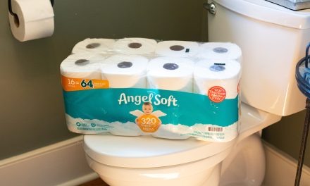 Angel Soft Bath Tissue Just $8.49 At Publix (Regular Price $14.79)