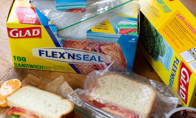 New Glad Coupon For The Publix BOGO Sale – Storage Bags As Low As $1