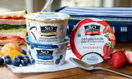 So Delicious Coconut Milk Yogurt Alternative FREE At Publix