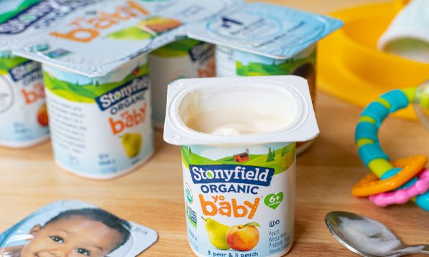 Stonyfield Kids Yogurt As Low As $1.50 Per Pack At Publix