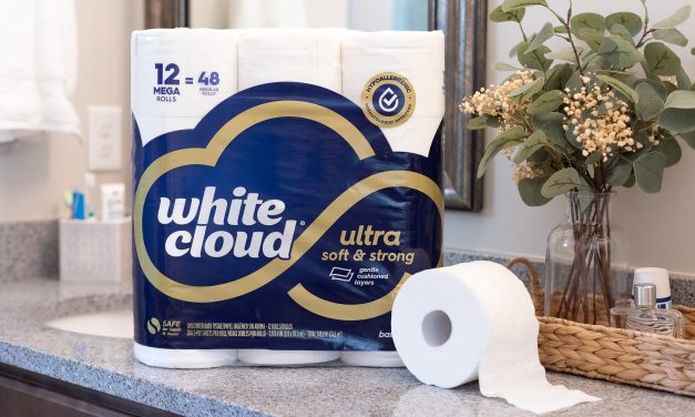 Discover White Cloud® Toilet Paper For Amazing Comfort And Strength – Save $4 At Publix