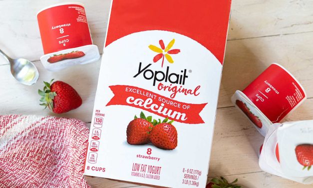 Fantastic Deal On Yoplait Yogurt At Publix – $2.45 Per Pack (Just 31¢ Per Cup)