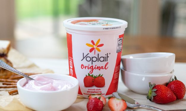 Fantastic Deal On Big Tubs Of Yoplait Yogurt At Publix – Just 95¢ Per Tub