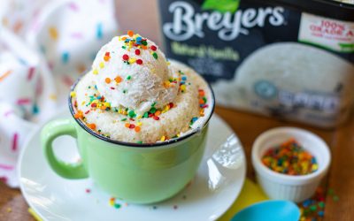 Serve Up Something Tasty & Grab Delicious Breyers® During The BOGO Sale At Publix