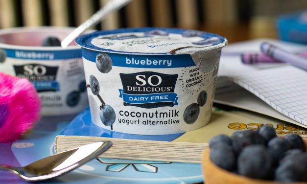 Silk & So Delicious Products – Save $3 At Publix With Digital Coupon