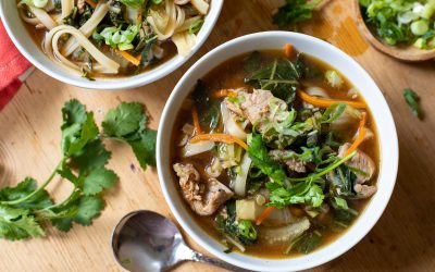 Hatfield Makes For Easy And DELICIOUS Weeknight Meals – Perfect For My Asian Pork Noodle Soup