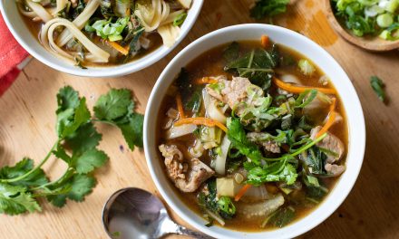 Hatfield Makes For Easy And DELICIOUS Weeknight Meals – Perfect For My Asian Pork Noodle Soup