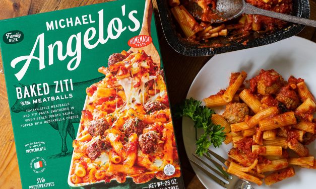 Michael Angelo’s Family Size Entrees As Low As $2.95 At Publix (Regular Price $9.89)
