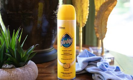 Shine & Protect Your Surfaces With Pledge® Enhancing Polish – HAVE A HAPPY THANKSGATHERING™