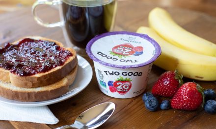 Get The 4-Packs Of Two Good Yogurt For Just $2.25 At Publix – Just 56¢ Per Cup