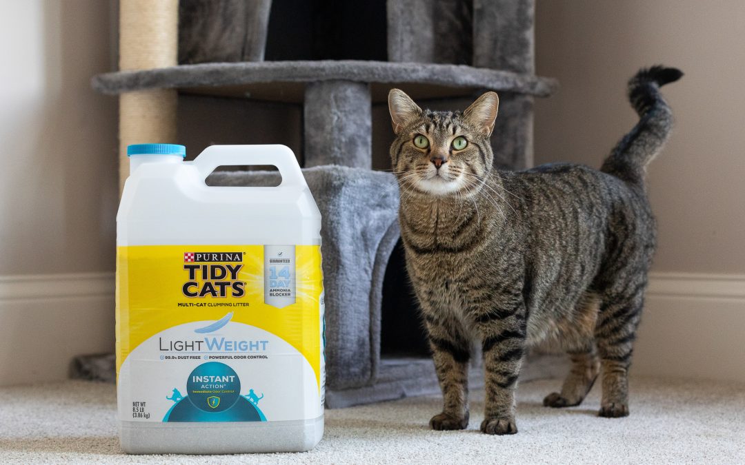 Purina Tidy Cats Lightweight Litter Just $6.80 At Publix (Regular Price $17.59)