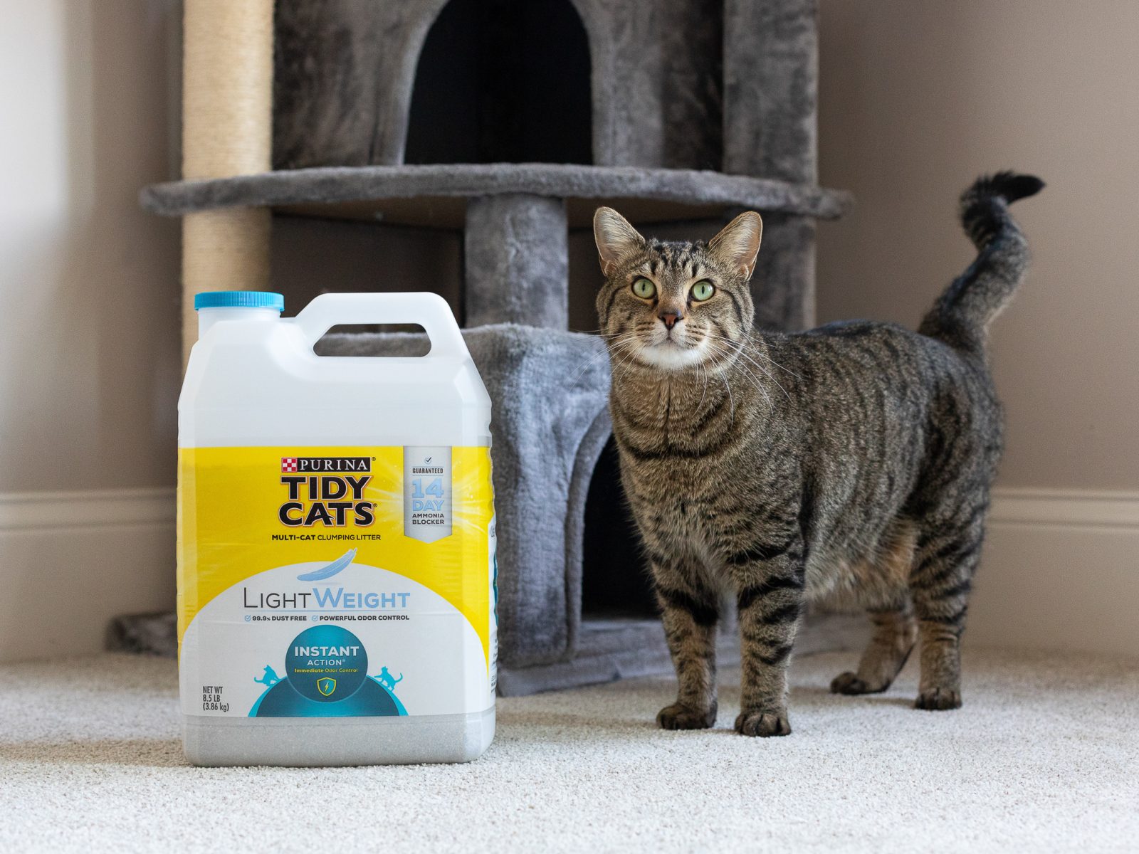 Purina Tidy Cats Clumping Litter Just $6.70 At Publix (Regular Price $15.39)