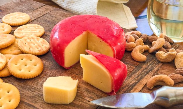 Castello Cheese As Low As $2 At Publix