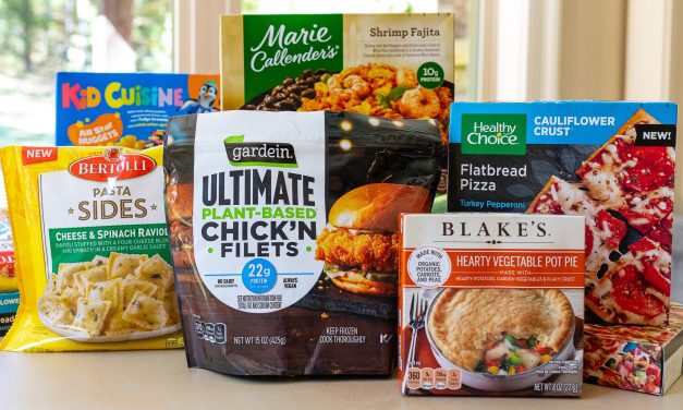 Enjoy Up To $10 In Savings On New Frozen Faves At Publix