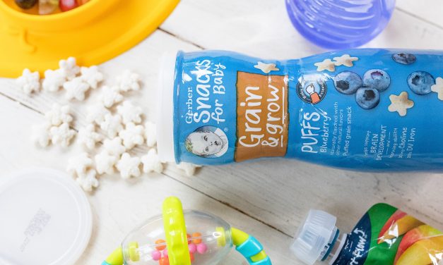 Gerber Snacks As Low As $1.63 At Publix