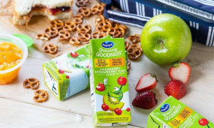 Pick Up New Ocean Spray® Growing Goodness™ Juice Beverages – Now Available At Publix