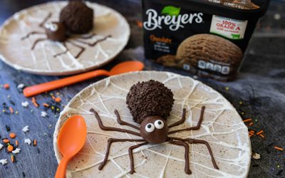 Add Some Fun To Mealtime With My Breyers® Spider Brownie Sundaes – Save Now At Publix