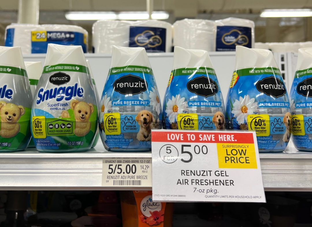 Renuzit Gel Air Fresheners Only 67¢ Each At Publix iHeartPublix