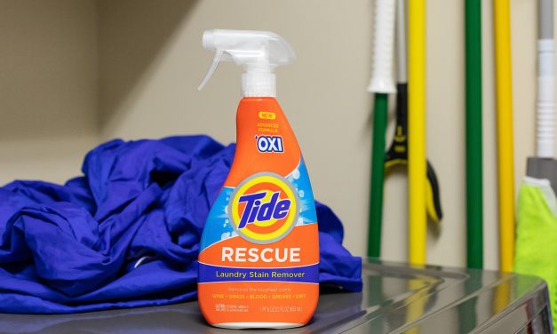 Tide Rescue Laundry Stain Remover Spray As Low As $2.99 At Publix – Almost Half Price (Plus Cheap Tide To Go Pens)
