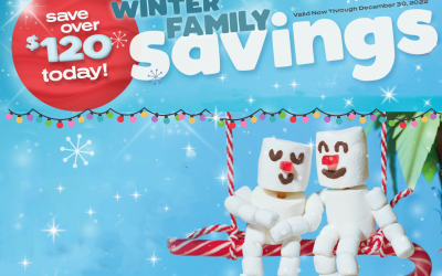 New Publix Booklet – Winter Family Savings Valid 11/12 – 12/30