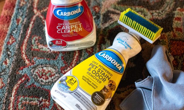 Carbona Carpet Cleaner As Low As $1.85 At Publix
