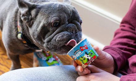 Stock Your Freezer And Save On Ben & Jerry’s Ice Cream For The Whole Family – Including Your Pup!