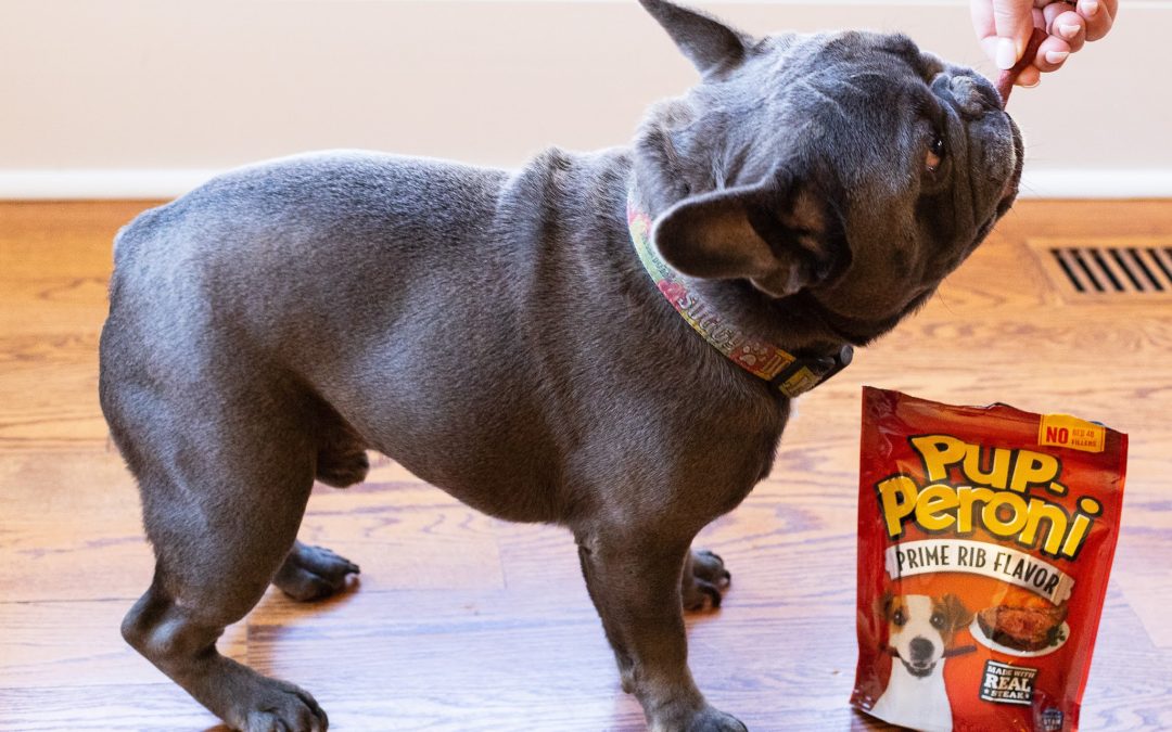 Get The Big Bags Of Pup-Peroni Dog Snacks For Just $5.35 At Publix (Regular Price $15.69)