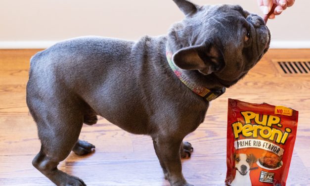 Get The Big Bags Of Pup-Peroni Dog Snacks For Just $5.35 At Publix (Regular Price $15.69)