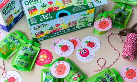 Grab GoGo squeeZ® Pouches For Adorable Valentine’s Treats Your Kids Will Love!