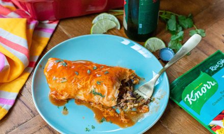 Knorr Sides Are BOGO At Publix – Perfect Time Enjoy A Batch Of Smothered Burritos