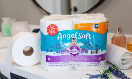 Angel Soft Bath Tissue As Low As $4 At Publix (Regular Price $8.39)