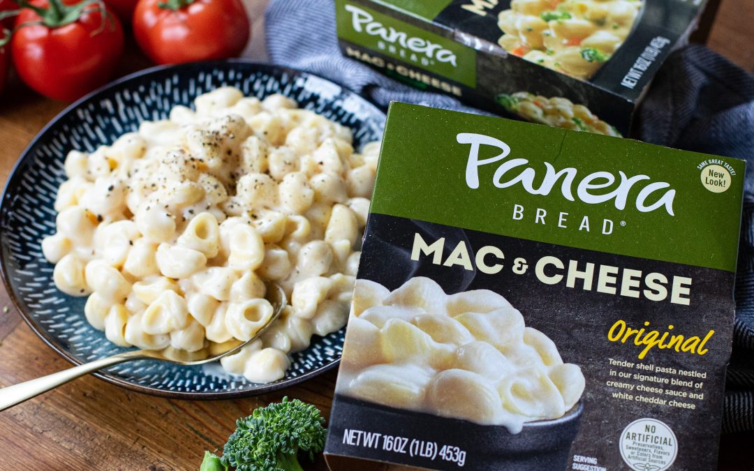 Panera Pasta Bowls As Low As $3.25 At Publix (Regular Price $7.99)