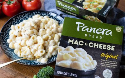 Panera Pasta Bowls As Low As $5.24 At Publix (Regular Price $7.99)