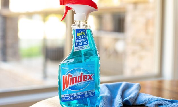 Lighten & Brighten Your Home With Windex® Glass Cleaner – Save Now