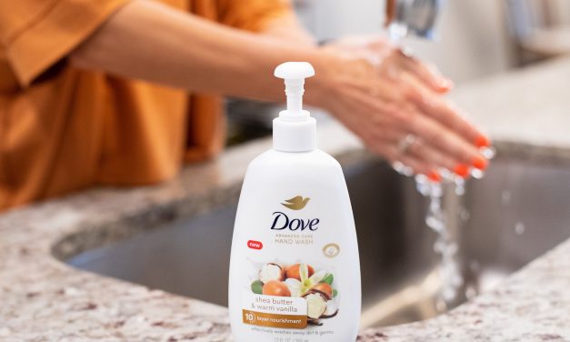 Dove Hand Wash Only $2 At Publix – Less Than Half Price