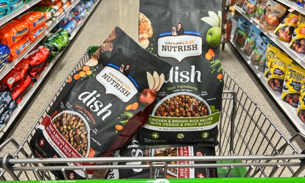 Rachael Ray Nutrish Dish or Peak Dog Food Just $5.40 At Publix (Regular Price $14.79)